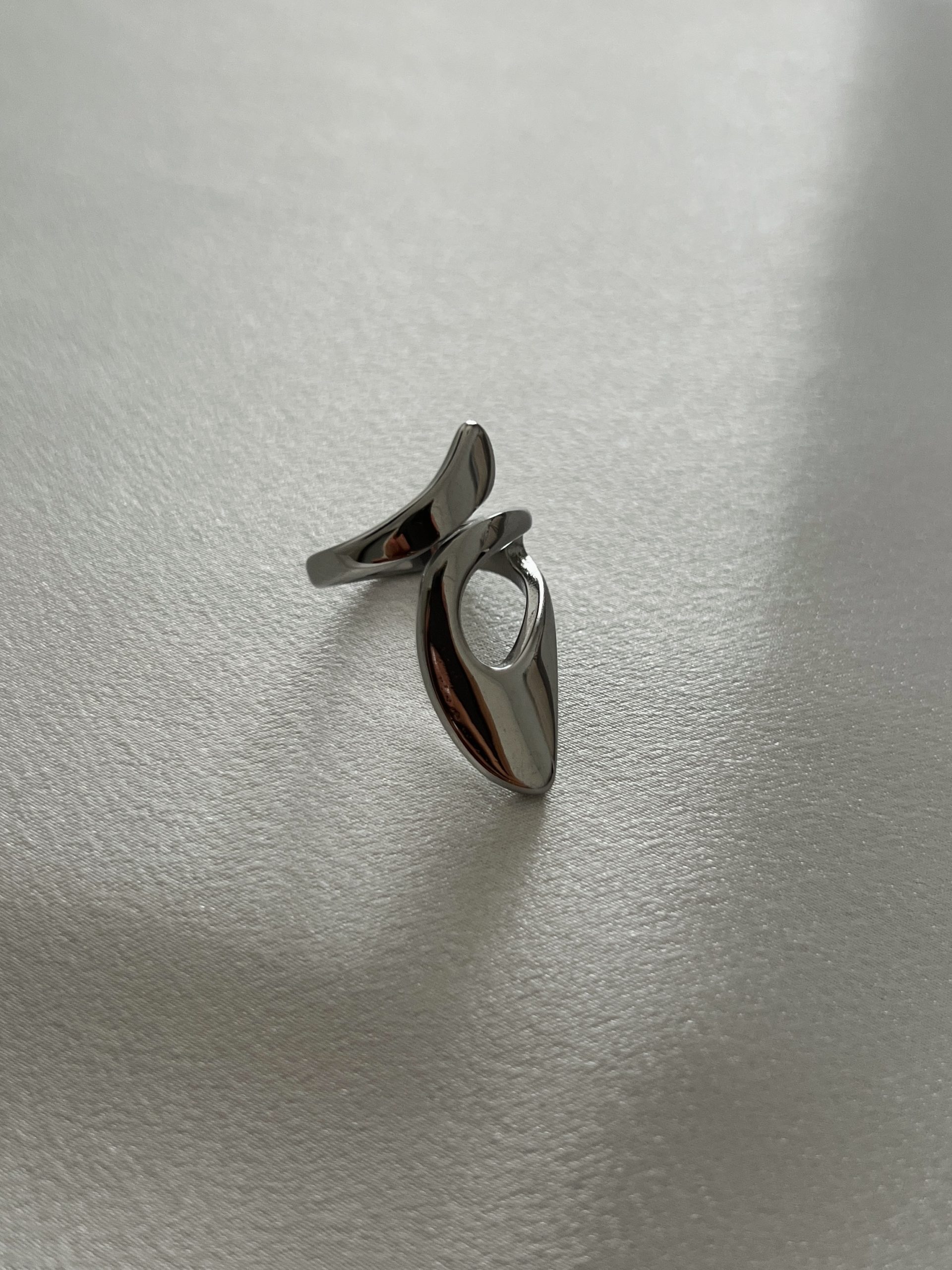 IMG_9813 Alexa silver - Image 1